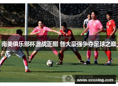 南美俱乐部杯激战正酣 各大豪强争夺足球之巅 南美俱乐部杯激战正酣 各大豪强争夺足球之巅